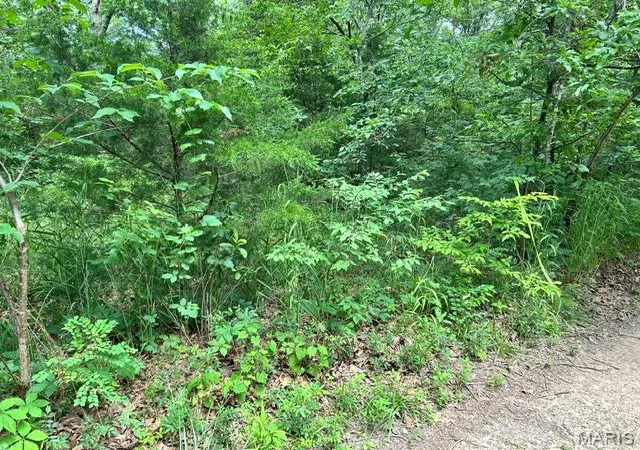 2nd image of 595 Utica Dr, Bismarck, MO 63624 | MLS# MIS26037799
