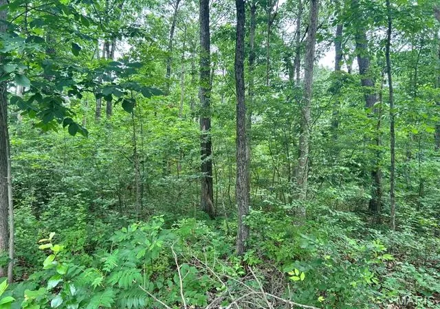 3rd image of 526 Tarkio Dr, Bismarck, MO 63624 | MLS# MIS26037805