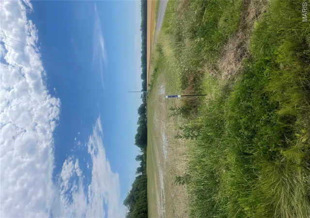 Homes for sale in Carlyle, IL | Xxx Louse Creek Rd, Carlyle, IL 62231 | MLS# MIS26037887