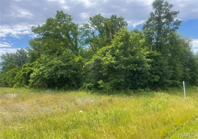 Homes for sale in Carlyle, IL | Xxx Louse Creek Rd, Carlyle, IL 62231 | MLS# MIS26037887