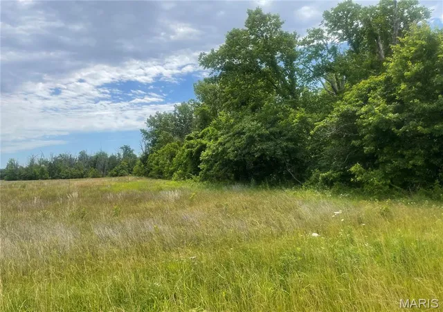 Homes for sale in Carlyle, IL | Xxx Louse Creek Rd, Carlyle, IL 62231 | MLS# MIS26037887