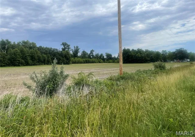 Homes for sale in Carlyle, IL | Xxx Louse Creek Rd, Carlyle, IL 62231 | MLS# MIS26037887