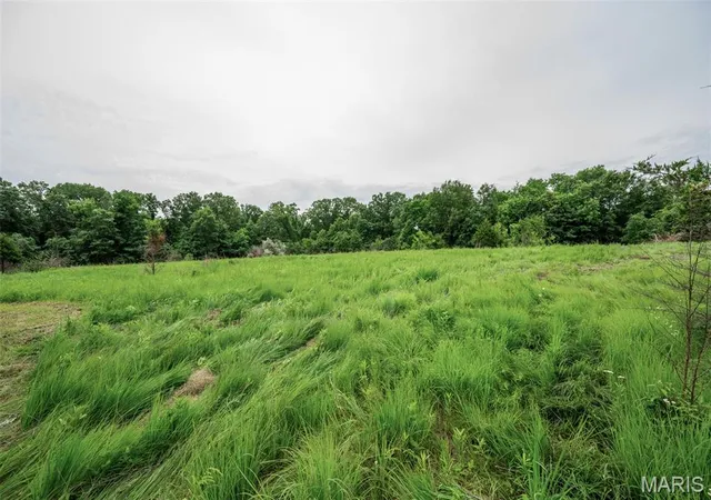Homes for sale in Perry, MO | 27 Halyon Estates, Perry, MO 63462 | MLS# MIS26037895