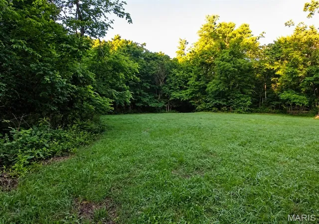 Homes for sale in Viburnum, MO | 00 County Road 5, Viburnum, MO 65566 | MLS# MIS26037934
