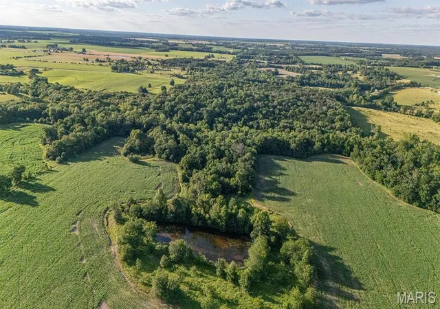 Homes for sale in Monroe City, MO | 00 Gentry Rd, Monroe City, MO 63456 | MLS# MIS26037941
