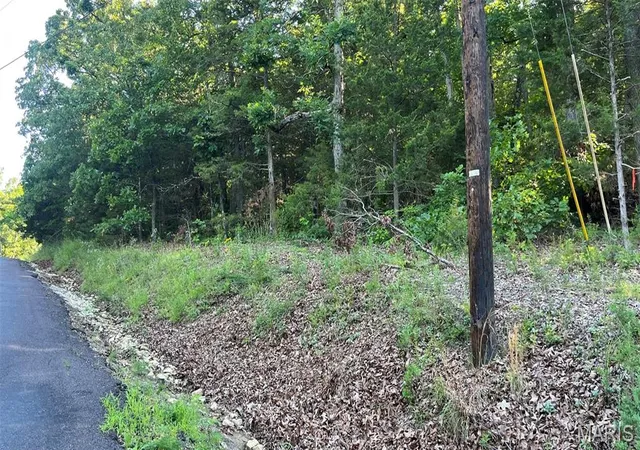 Photo 3 of Land for sale at Lot 824 Woodson Rd, Owensville, MO 65066 | MLS# MIS26037960 | Listing updated on 2026-06-17
