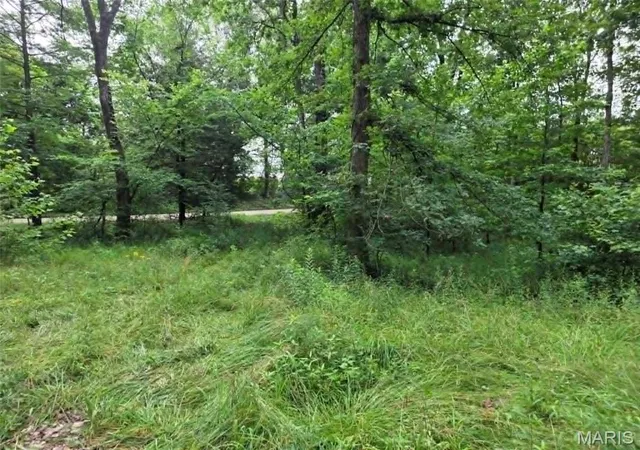 Homes for sale in Wappapello, MO | 951 County Road 514, Wappapello, MO 63966 | MLS# MIS26037973