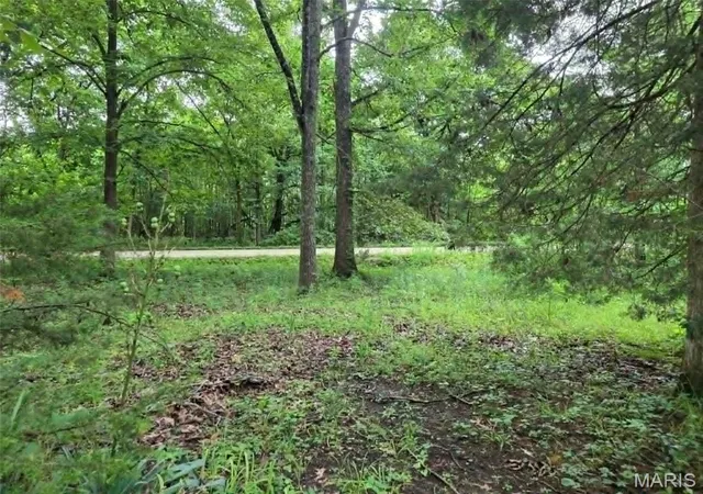 Homes for sale in Wappapello, MO | 951 County Road 514, Wappapello, MO 63966 | MLS# MIS26037973