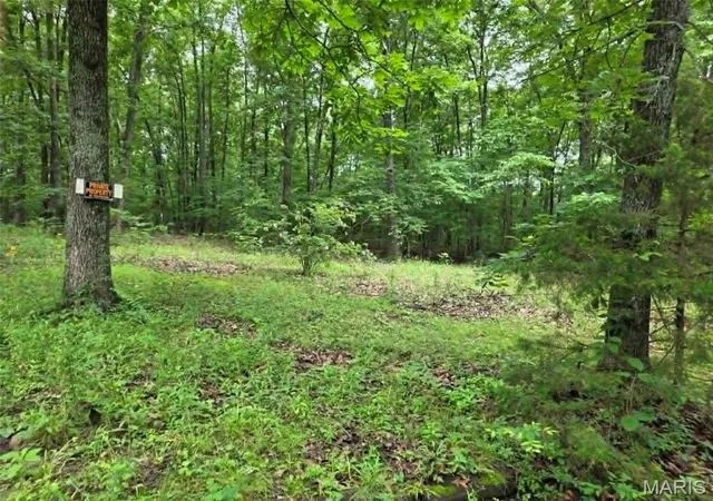 Photo 3 of Manufactured home for sale at 951 County Road 514, Wappapello, MO 63966 | MLS# MIS26037973 | Listing updated on 2026-07-03