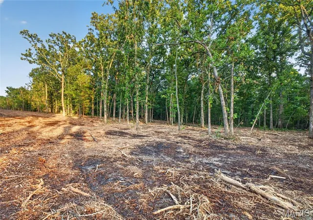 Homes for sale in Mansfield, MO | 003 M- Cantrell Rd, Mansfield, MO 65704 | MLS# MIS26038153