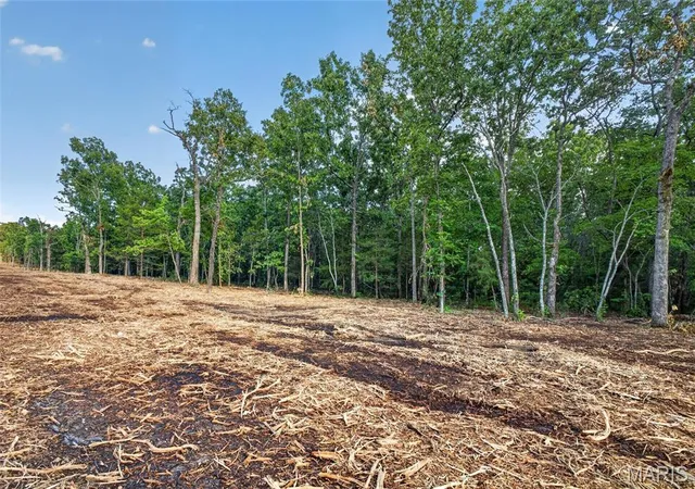 Homes for sale in Mansfield, MO | 004 M- Cantrell, Mansfield, MO 65704 | MLS# MIS26038174