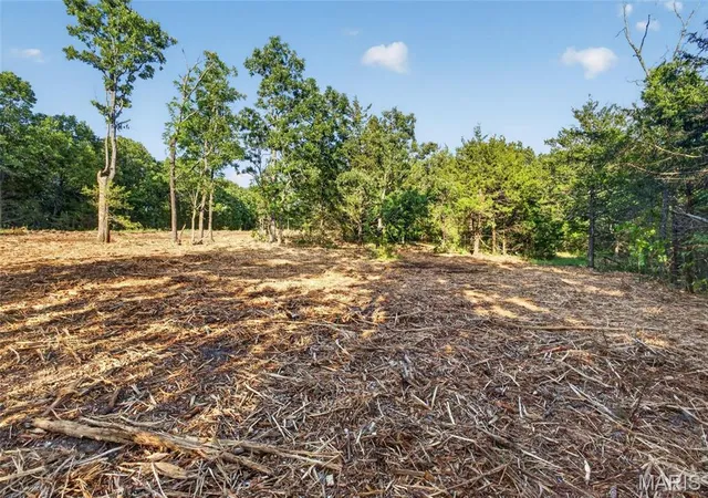 Homes for sale in Mansfield, MO | 005 M- Cantrell Rd, Mansfield, MO 65704 | MLS# MIS26038187