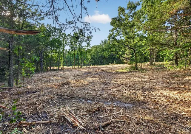 Homes for sale in Mansfield, MO | 005 M- Cantrell Rd, Mansfield, MO 65704 | MLS# MIS26038187