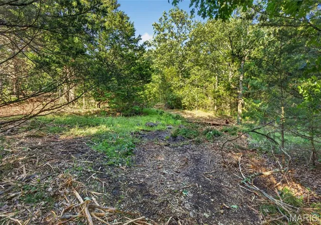 Homes for sale in Mansfield, MO | 005 M- Cantrell Rd, Mansfield, MO 65704 | MLS# MIS26038187