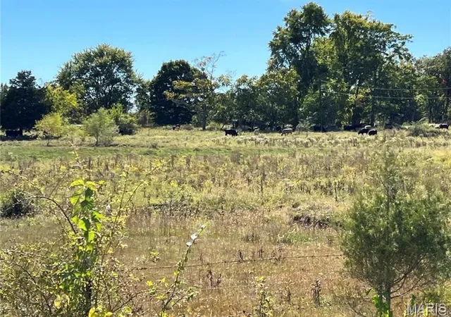 2nd image of 1 Hunt Rd, Farmington, MO 63640 | MLS# MIS26038199