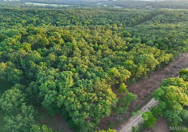 Homes for sale in Mansfield, MO | 006 M- Cantrell Rd, Mansfield, MO 65704 | MLS# MIS26038215