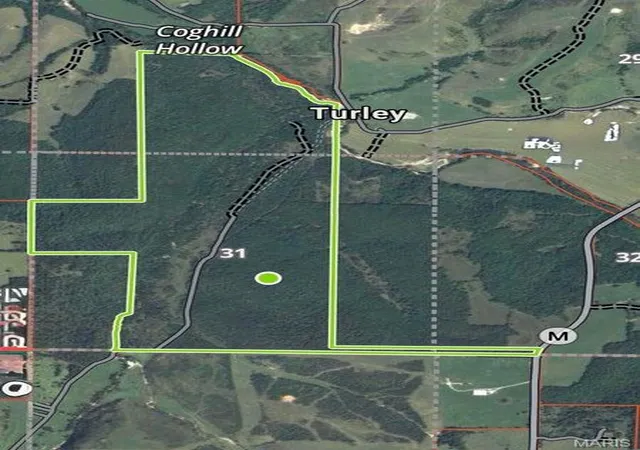 Homes for sale in Plato, MO | 000 Hwy M Success, Plato, MO 65552 | MLS# MIS26038278