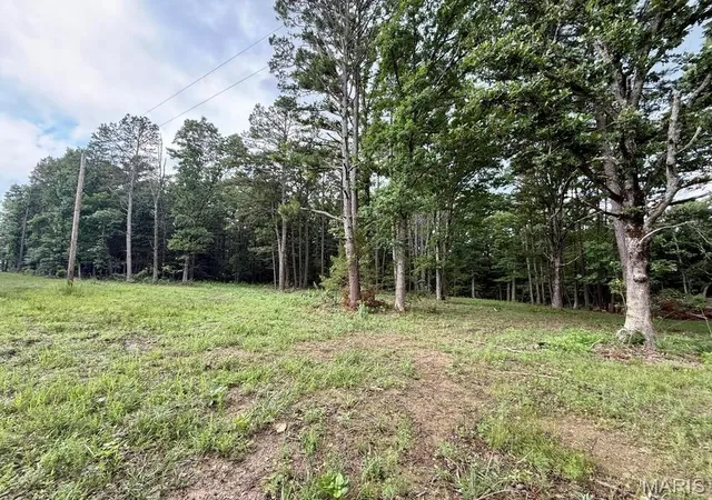 Homes for sale in Licking, MO | 000 West Hwy 32, Licking, MO 65542 | MLS# MIS26038306