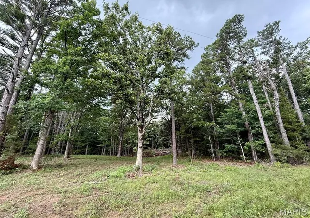 Homes for sale in Licking, MO | 000 West Hwy 32, Licking, MO 65542 | MLS# MIS26038306