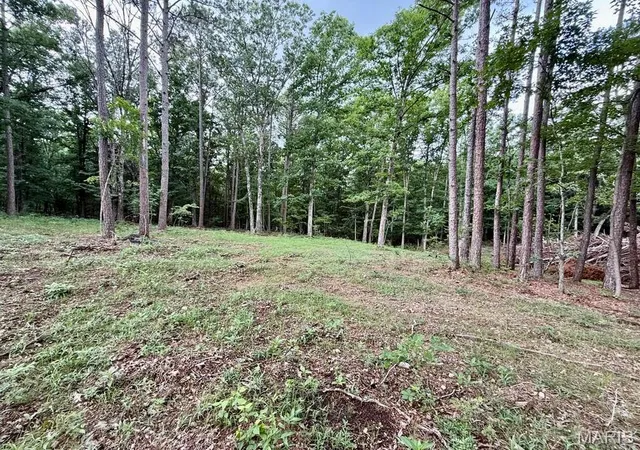 Homes for sale in Licking, MO | 000 West Hwy 32, Licking, MO 65542 | MLS# MIS26038306