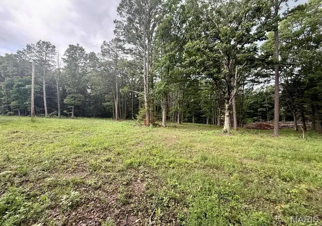 Homes for sale in Licking, MO | 000 West Hwy 32, Licking, MO 65542 | MLS# MIS26038306