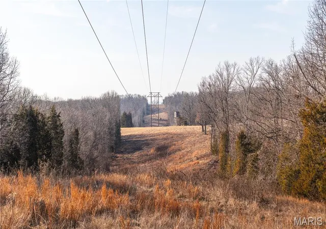 Homes for sale in Holts Summit, MO | 00 Trashsel Ln, Holts Summit, MO 65043 | MLS# MIS26038311
