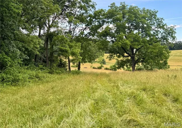 4th image of 13628 Thornberry Rd, New London, MO 63459 | MLS# MIS26038344