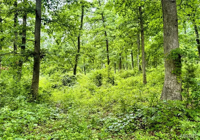 9th image of 13628 Thornberry Rd, New London, MO 63459 | MLS# MIS26038344