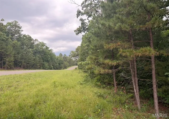 Homes for sale in Ellington, MO | 000 Hwy 21, Ellington, MO 63638 | MLS# MIS26038443