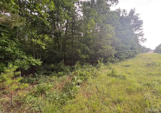 Homes for sale in Ellington, MO | 000 Hwy 21, Ellington, MO 63638 | MLS# MIS26038443