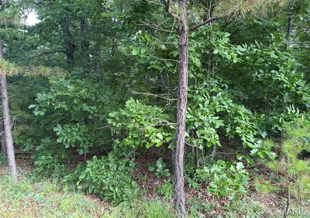 Homes for sale in Ellington, MO | 000 Hwy 21, Ellington, MO 63638 | MLS# MIS26038443