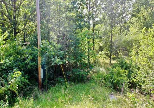 Homes for sale in Salem, MO | 203 County Road 3330, Salem, MO 65560 | MLS# MIS26038450