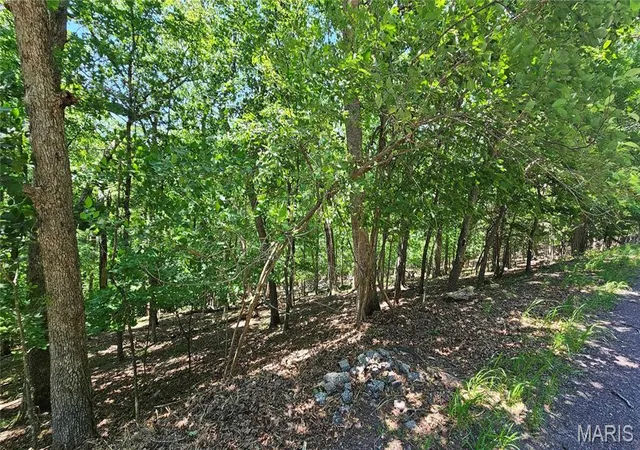 Homes for sale in Lake Sherwood, MO | 731 Hearthstone Dr, Lake Sherwood, MO 63357 | MLS# MIS26038527