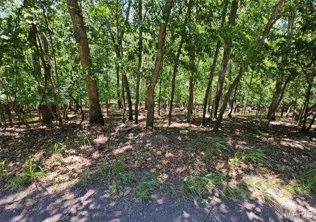 Homes for sale in Lake Sherwood, MO | 731 Hearthstone Dr, Lake Sherwood, MO 63357 | MLS# MIS26038527
