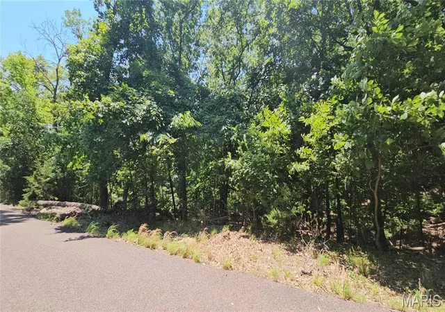 Homes for sale in Lake Sherwood, MO | 554 Friar Tuck Ln, Lake Sherwood, MO 63357 | MLS# MIS26038530