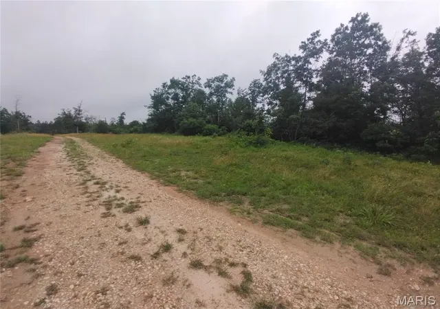 Homes for sale in Belleview, MO | 9 Tract 9 Off Hwy O, Belleview, MO 63623 | MLS# MIS26038570