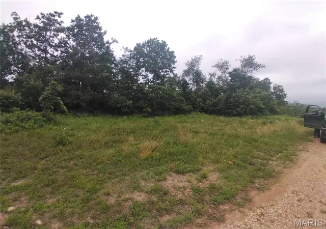 Homes for sale in Belleview, MO | 9 Tract 9 Off Hwy O, Belleview, MO 63623 | MLS# MIS26038570