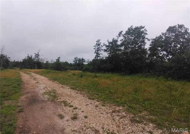 Homes for sale in Belleview, MO | 9 Tract 9 Off Hwy O, Belleview, MO 63623 | MLS# MIS26038570