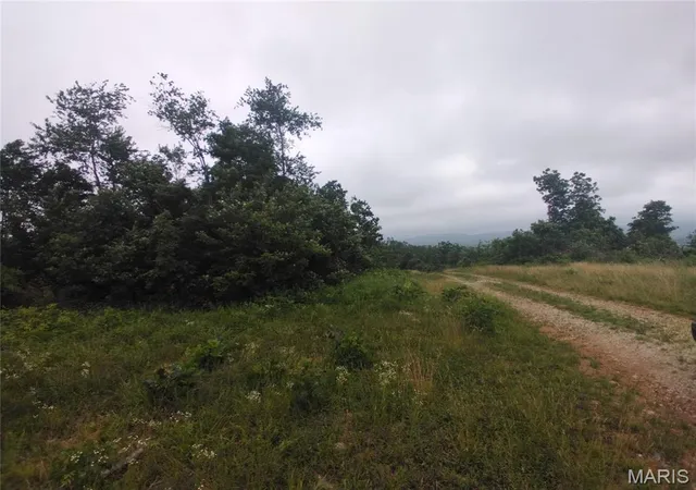 Homes for sale in Belleview, MO | 9 Tract 9 Off Hwy O, Belleview, MO 63623 | MLS# MIS26038570