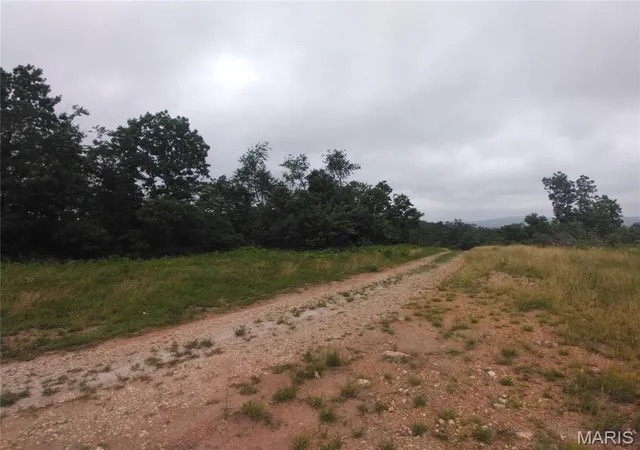 Homes for sale in Belleview, MO | 8 Tract 8 Off Hwy O, Belleview, MO 63623 | MLS# MIS26038604