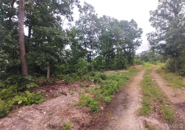 Homes for sale in Belleview, MO | 5 Tract 5 Off Hwy O, Belleview, MO 63623 | MLS# MIS26038612