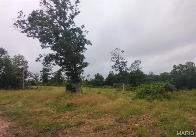 Homes for sale in Belleview, MO | 5 Tract 5 Off Hwy O, Belleview, MO 63623 | MLS# MIS26038612