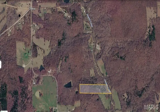 Homes for sale in Glen Allen, MO | Tbd Bcr 507, Glen Allen, MO 63751 | MLS# MIS26038674