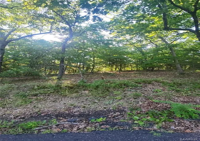 Homes for sale in Owensville, MO | Lot 14 E Forest Ln, Owensville, MO 65066 | MLS# MIS26038719