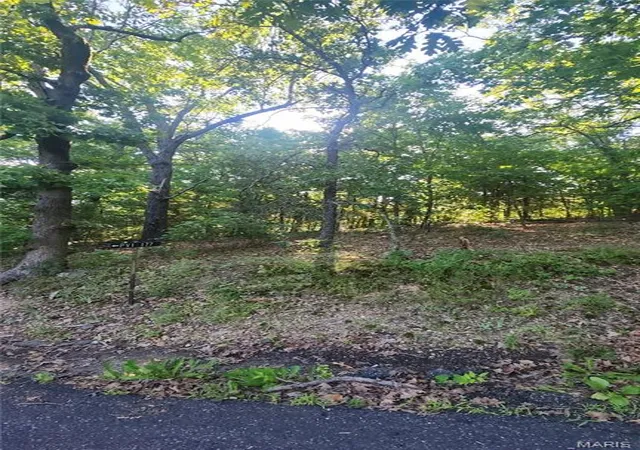 Homes for sale in Owensville, MO | Lot 14 E Forest Ln, Owensville, MO 65066 | MLS# MIS26038719