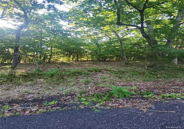 Homes for sale in Owensville, MO | Lot 14 E Forest Ln, Owensville, MO 65066 | MLS# MIS26038719