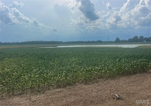 Photo 3 of Land for sale at 0000 Park Avenue N, Herrin, IL 62948 | MLS# MIS26038750 | Listing updated on 2026-06-18