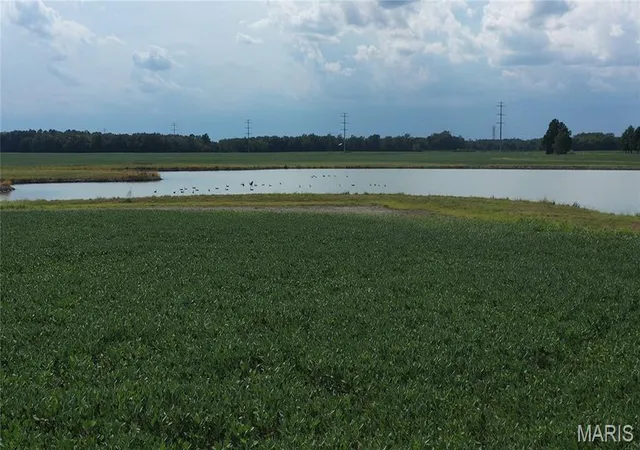 Photo 4 of Land for sale at 0000 Park Avenue N, Herrin, IL 62948 | MLS# MIS26038750 | Listing updated on 2026-06-18