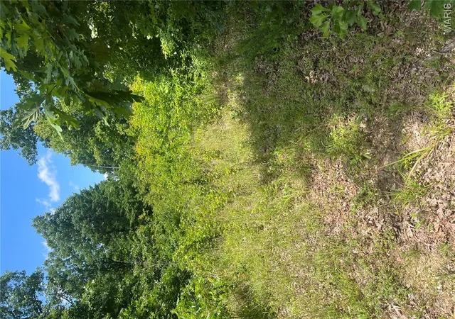 Homes for sale in Centerville, MO | 1 County Road 750, Centerville, MO 63633 | MLS# MIS26038918