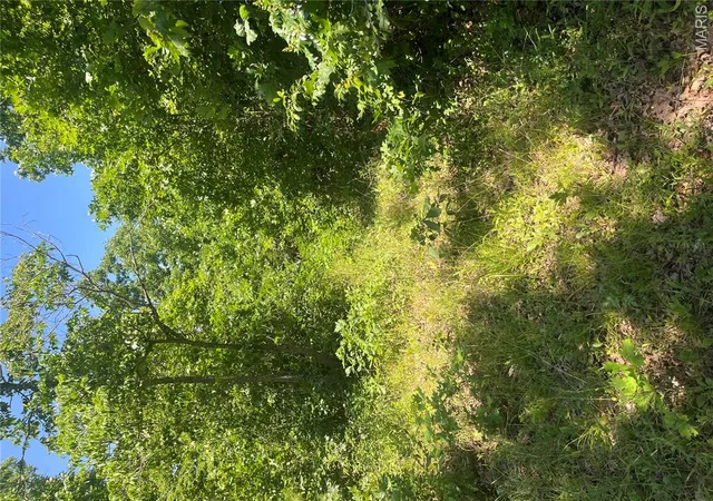 Homes for sale in Centerville, MO | 1 County Road 750, Centerville, MO 63633 | MLS# MIS26038918